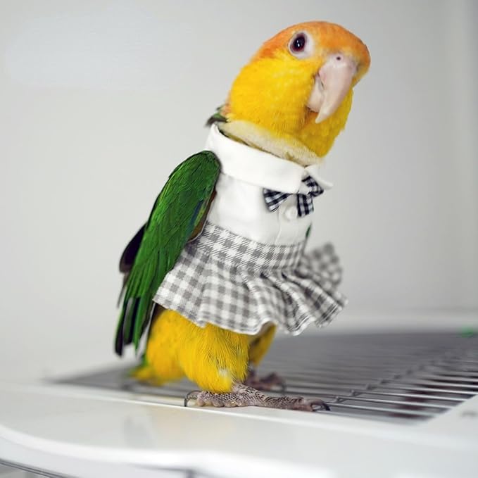 Bird Costume Bird Diaper Flight Suit Cute JK Dress Dress Skirt Clothes Cosplay Photo Prop for Parrots Macaw Cockatoo (with Diaper,Macaw)