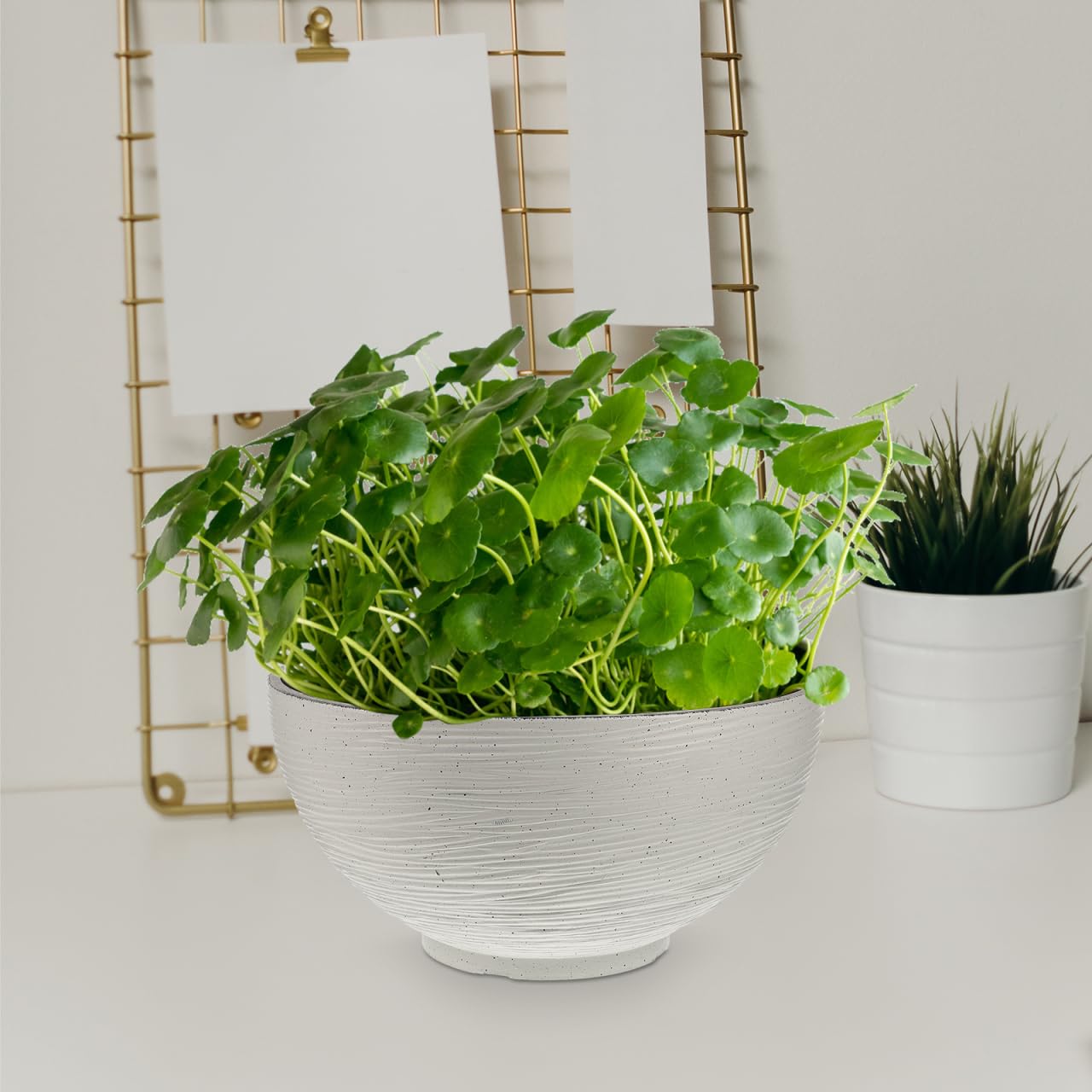 Housoutil Hydroponic Flower Pot 13.77 Inch White Quartz Desktop Planter for Water Lily Succulents Bonsai Indoor Outdoor Garden Decoration
