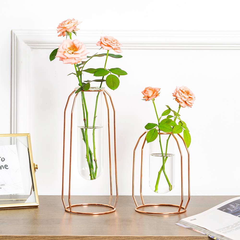 Vases Set of 2 Glass Vases with Metal Frame, Modern Rose Gold Frame Cylinder Clear Vase Planter Terrariums, Flower Holder Decorations for Wedding Living Room, Office, Party (Rose Gold, S+L)
