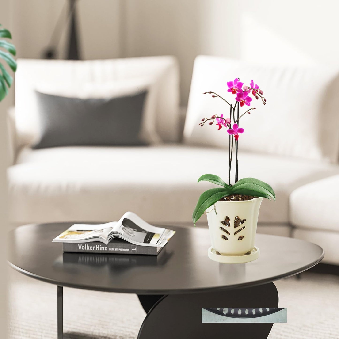 pavtner Ceramic Orchid Pot 4 Inch, Orchid Pots with Holes, Orchid Pot for Repotting, Beatiful Ice Cracked Glaze Ceramic Plant Pot, Perfect Home for Your Orchids.(White)
