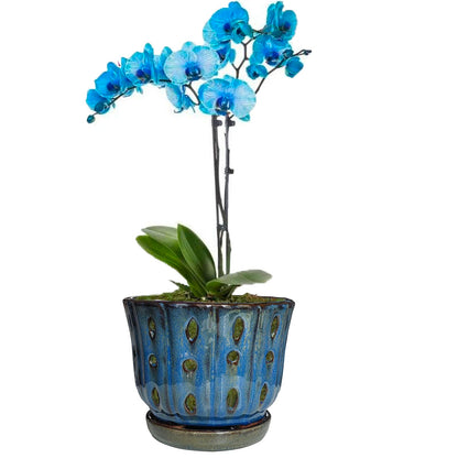 Grdthzey 6 inch Round Ceramic Orchid Pot with Holes Orchid Planter (Dark Blue)