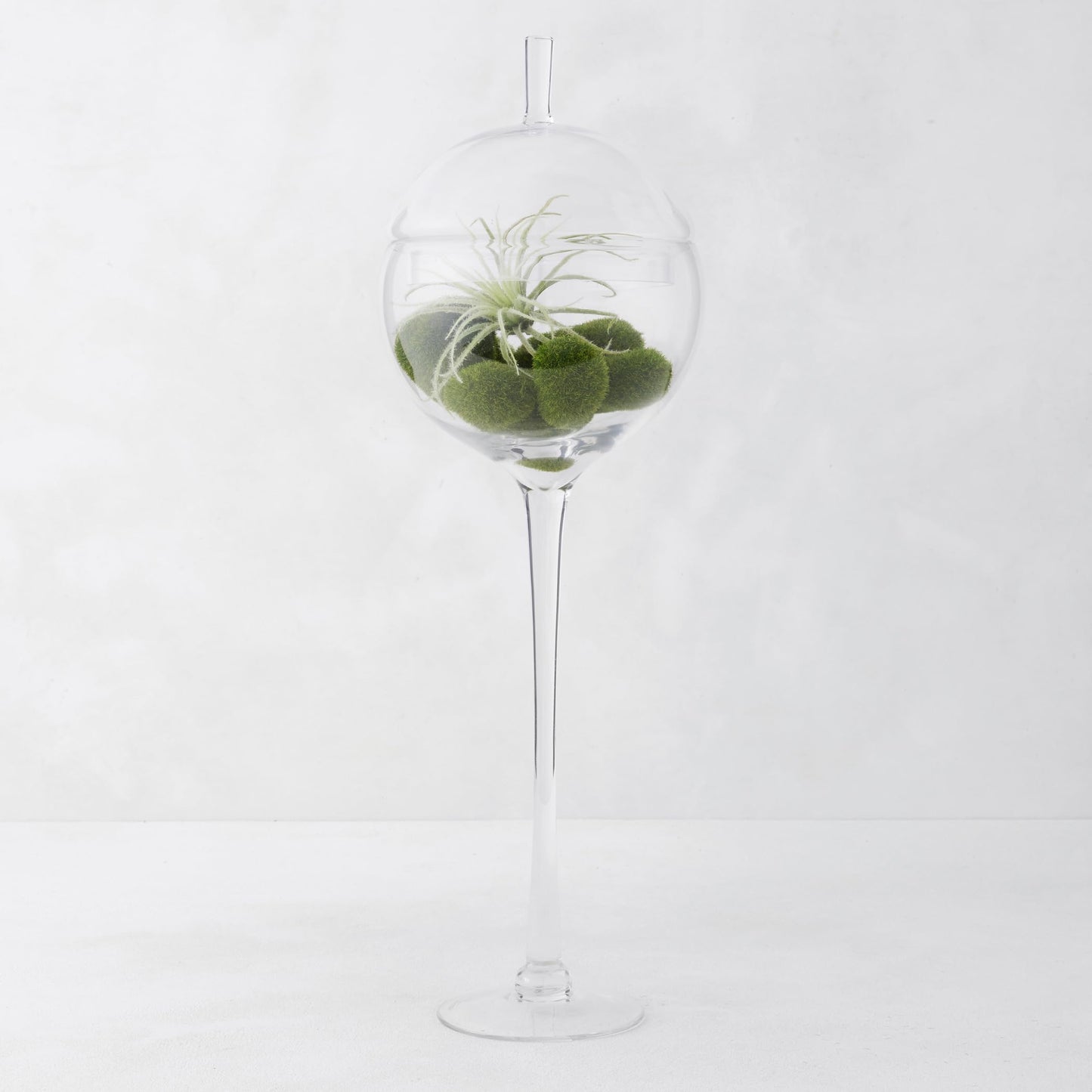 Z Gallerie Jules Glass Cloche, Hand-Blown Glasses Display Dome for Decorative Showcase Elegant Terrarium for Curated Home Decor, Artistic Canister for Sentimental Displays, Clear, 24"