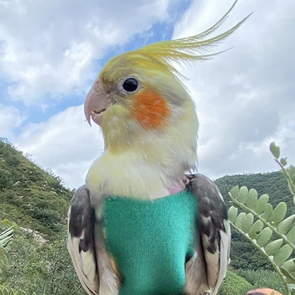 Pet Bird Diaper Harness Adjustable Parrot Harness and Leash Set Cockatiel Flight Suit with 60 Inch Leash Bow Tie Bird Flying Clothes for Conures Cockatoos Cockatiel Pigeon (Pink, Large)