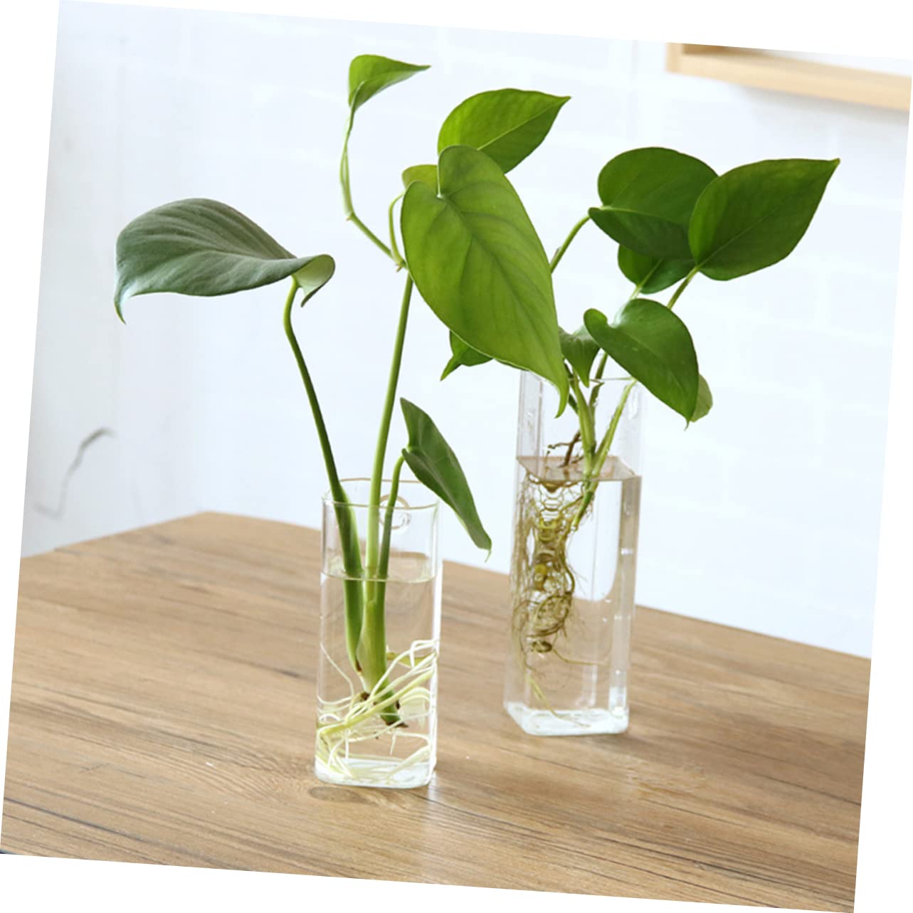 POPETPOP Creative Hanging Glass Vase for Wall Unique Terrarium Planter for Home Decor for Indoor Plants Living Room and Bedroom Aesthetics