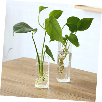 POPETPOP Creative Hanging Glass Vase for Wall Unique Terrarium Planter for Home Decor for Indoor Plants Living Room and Bedroom Aesthetics