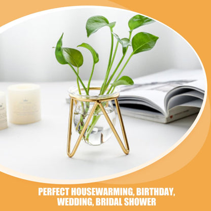 DOITOOL Hydroponic Glass Vase with Metal Stand, Small Decorative Succulent Planter Bulb, Gold Desktop Plant Container for Indoor Terrarium and Home Décor