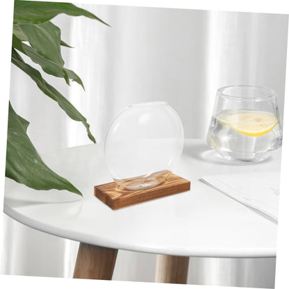 Totority Desktop Hydroponic Glass Plant Propagation Station with Transparent Vase and Wooden Base Soil Indoor Terrarium for Home Office Decoration and Tea Ceremony Display