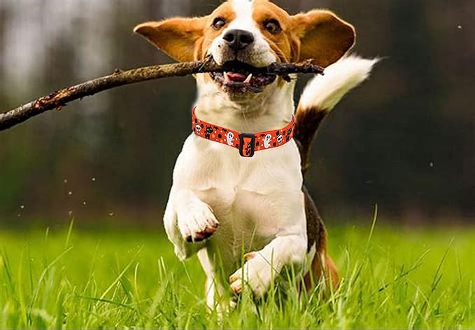 Mihqy Halloween Dog Collar - Pumpkin Bat Ghost Pattern - Adjustable for Small Medium Large Dogs(Halloween,M)