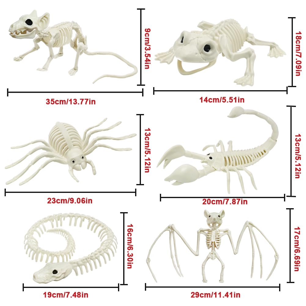 LUKBERA 6pcs Halloween Animal Skeletons, Bat Frog Scorpion Spider Snake Rat Skeletons for Halloween Party Haunted House Graveyard Scene Decoration