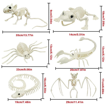 LUKBERA 6pcs Halloween Animal Skeletons, Bat Frog Scorpion Spider Snake Rat Skeletons for Halloween Party Haunted House Graveyard Scene Decoration