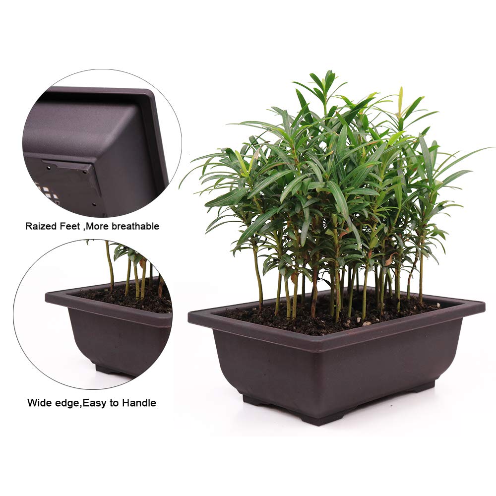 MUZHI 12PACK RetroStyle Plastic Bonsai Training Pots Balcony Indoor Rectangle Square Flower Pots 6"