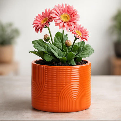 ÈMJÉ LUXE 6 Inch Ceramic Plant Pot – Decorative Indoor Planter (No Drainage Hole) for Succulents, Herbs & Houseplants – Modern Tabletop Desk Planter – Terracotta