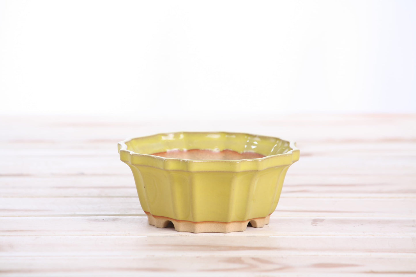 Willow Bonsai Ceramics Flower Design Bonsai Pot 4.5 Inch – Elegant Ceramic Bonsai & Succulent Planter, High‑Fired Frost‑Proof Stoneware with Drainage & Wiring Holes, Handmade in USA (Yellow)