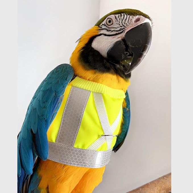 Pet Parrot Bird Harness and Leash, Adjustable Training Design Anti-Bite, Bird Nylon Rope for Parrots, Waterproof and Reflective, Suitable for Macaw Cockatoo Cockatiel Lovebird Conure African Grey (L)