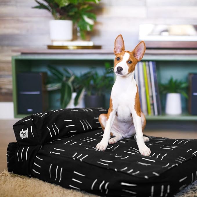 Molly Mutt Huge Dog Bed Cover -Dreams - Measures 36”X45”X5’-100% Cotton - Durable - Breathable - Sustainable - Machine Washable Dog Bed Cover