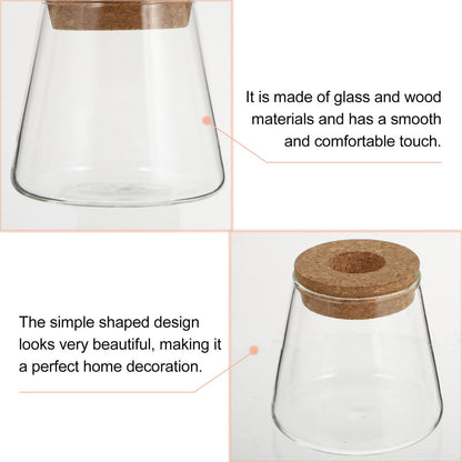 Garneck 2Pcs Desktop Glass Terrarium Transparent Glass Hydroponic Planter Vase Set Micro Landscape Terrarium Container for Home and Office Decor