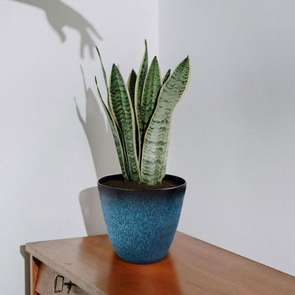 RICH ATLAS 3Pack Plant Pots Durable Decorative Flower Pots,6 Inch Planter Set for Indoor and Outdoor Plants,Flowers,Succulents (Blue)