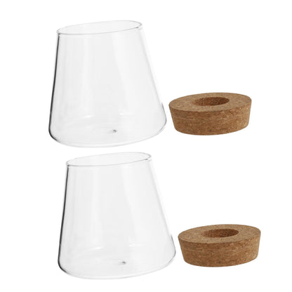 INOOMP 2Pcs Hydroponics Glass Vase for Plants Clear Smooth Terrarium Planter Home Decoration for Office and Events