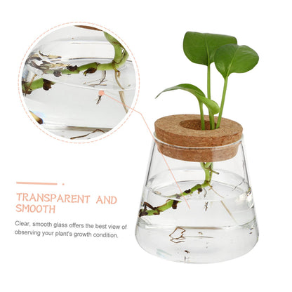 MAGICLULU 2Pcs Glass Terrarium for Hydroponics Plants Desktop Vases with Smooth Glass Craftsmanship Stylish Plant Propagation Jars for Home Office Decoration