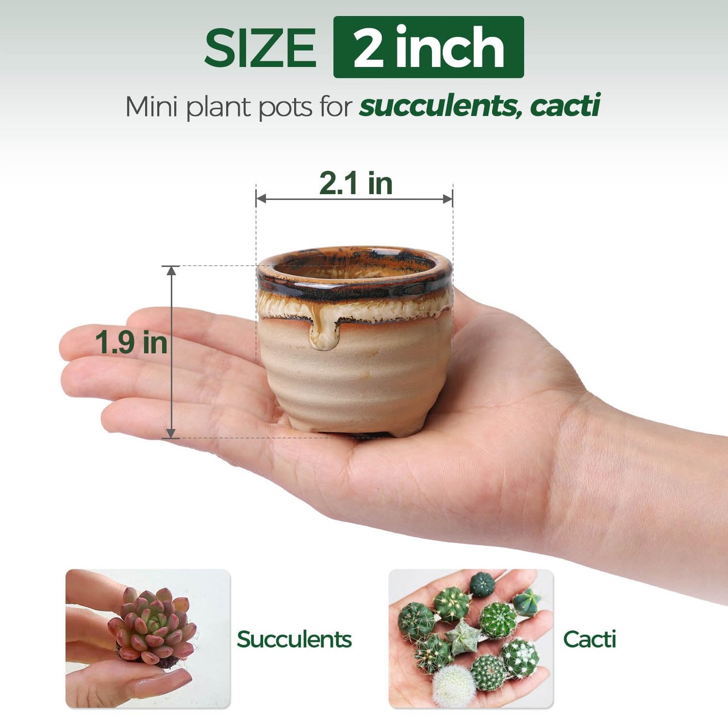 T4U Small Ceramic Succulent Pots with Drainage - Set of 12, Mini Pots for Plants, Home and Office Decor, Plant Lover Gifts for Women