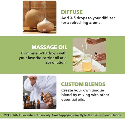 Majestic Pure Essential Oil with Glass Dropper - 100% Pure and Natural - Essential Oils for Diffuser, Aromatherapy, Soap and Candle Making, Peppermint Essential Oil, Peppermint Oil, 2 Fl Oz