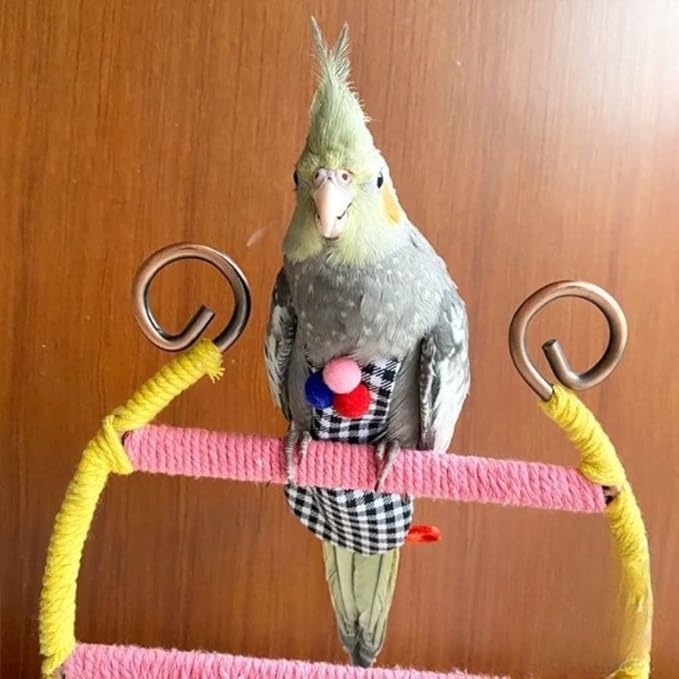Bird Flight Suits Diapers, Parrot Flight Suits Diapers for Monk Parakeets, Cockatiels Flight Suits, Parrot Clothes, Bird Training Nappy Suit Liners Clothes (Black,Green-cheeked Conure)