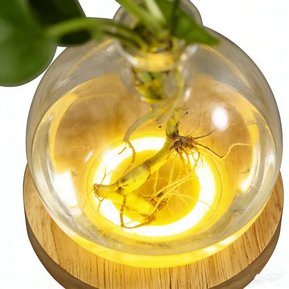 Led Hydroponic Plant Vase, Hydroponic Glass Container Vase Jars, Plant Propagation Station with Wooden Saucer for Desks, Houses, Garden Decorations