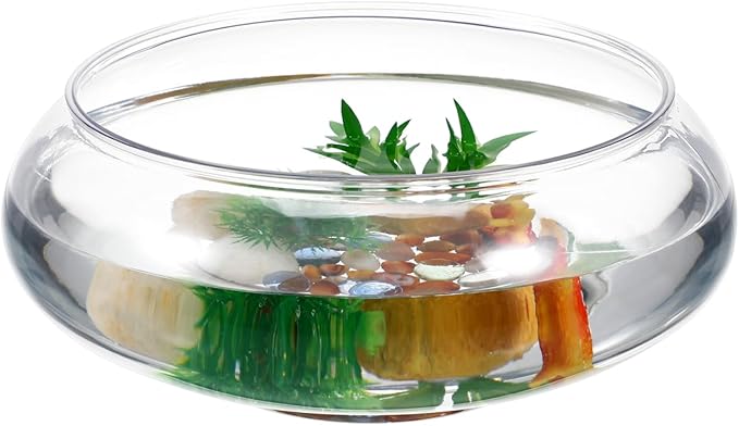 Lurrose Transparent Landscape Fish Tank 9.52 Inch Shallow Aquarium Clear Plastic Desktop Fish Bowl for Goldfish Turtles Home Office Decor