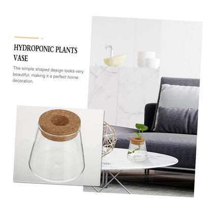 VALICLUD 2Pcs Glass Hydroponic Planter Vases Elegant Desktop Terrarium for Home Decoration Floral Arrangements for Indoor Plants and