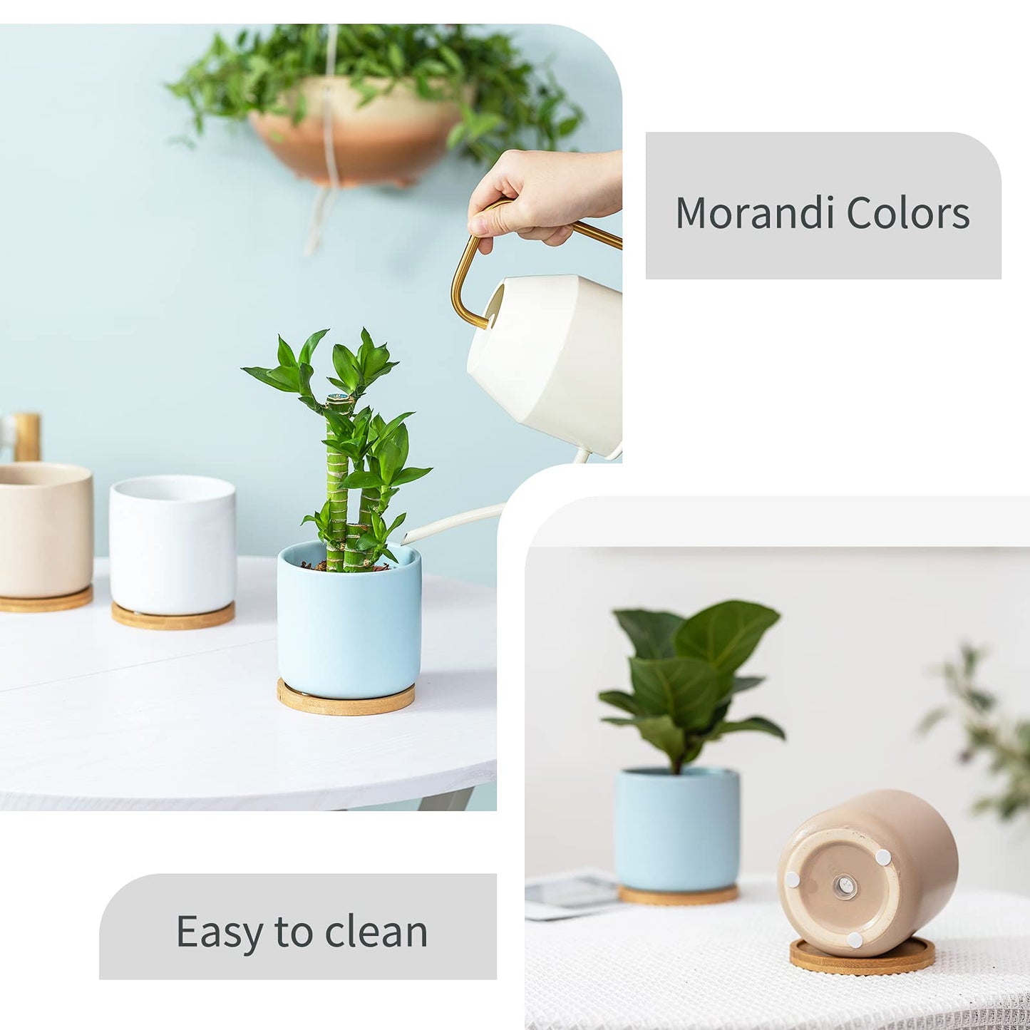 BABALIU 4 Inch Planters with Drainage Hole and Saucer, Small Ceramic Cylinder Plant Pot with Trays for Succulent, Aloe, Cactus & Herbs, Morandi Colors, Set of 4