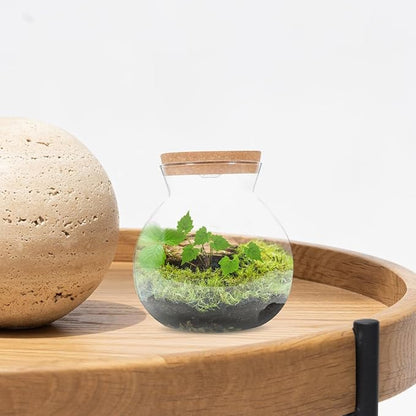Hemobllo Small Fish Tank with LED Light, High Borosilicate Glass Betta Fish Tank for Desktop, Mini Aquarium Kit for Micro Landscape, 1 Gallon Ecological Bottle with Wooden Lid for Office