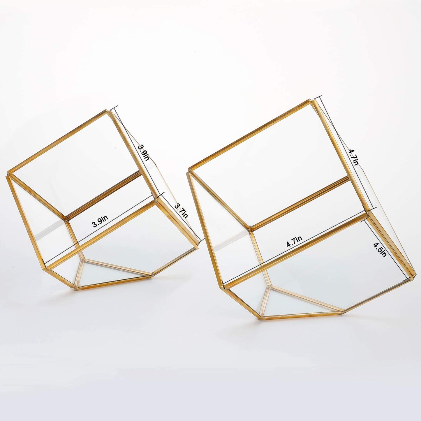 ELEGANTLIFE Glass Geometric Plant Terrarium,Succulent & Air Planter for Home Garden Office Decoration(Gold Cubic Set of 2)