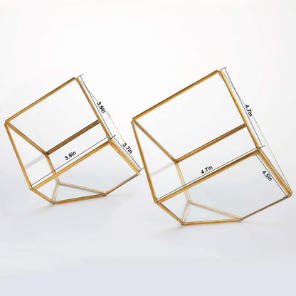 ELEGANTLIFE Glass Geometric Plant Terrarium,Succulent & Air Planter for Home Garden Office Decoration(Gold Cubic Set of 2)