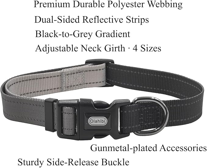 Dog Collar Leash Set, Gradient Color, with Safety Reflective Strips, 5 ft Matching Leash, Neoprene Padded Handle, Adjustable 4 Sizes for Small Medium Large Dogs.(XS, Black Grey)