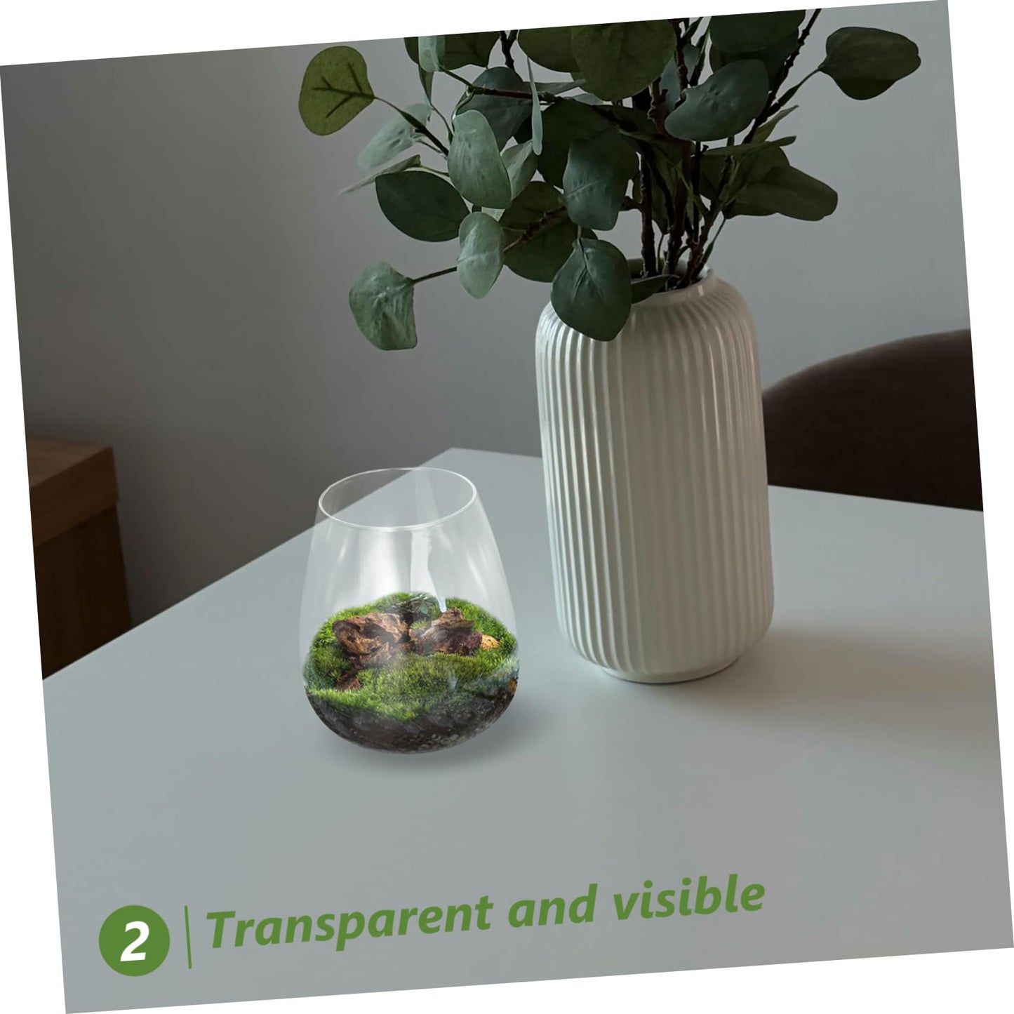 Abaodam Glass Terrarium Bottle for Home Decor Unique Hydroponic Vase for Air Plants Elegant Miniature Garden Centerpiece for Weddings and Parties Sustainable Glass Design