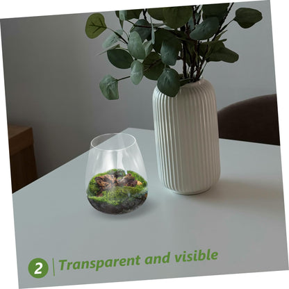 Abaodam Glass Terrarium Bottle for Home Decor Unique Hydroponic Vase for Air Plants Elegant Miniature Garden Centerpiece for Weddings and Parties Sustainable Glass Design