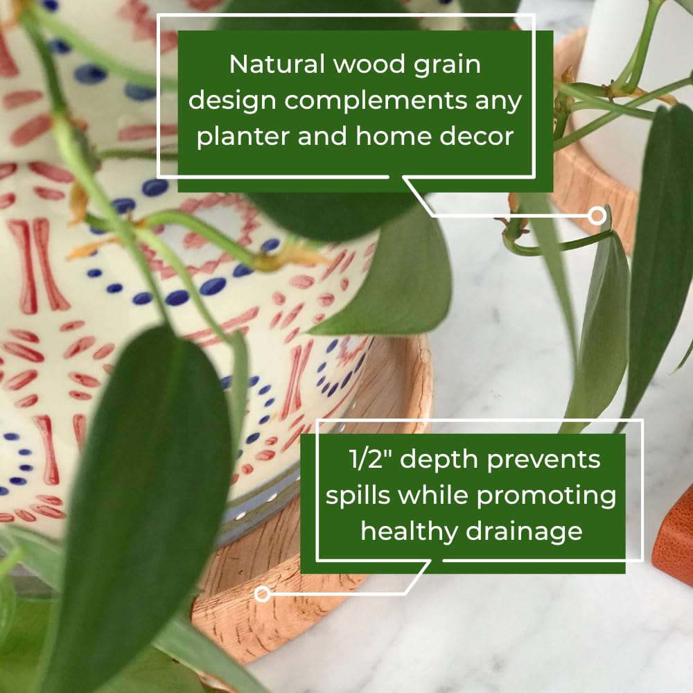 Ceramic Plant Saucer | Plant Trays for Indoors | Drip Tray | Plant Pot Saucers (4.5in + 5.75in, Wooden Grain)