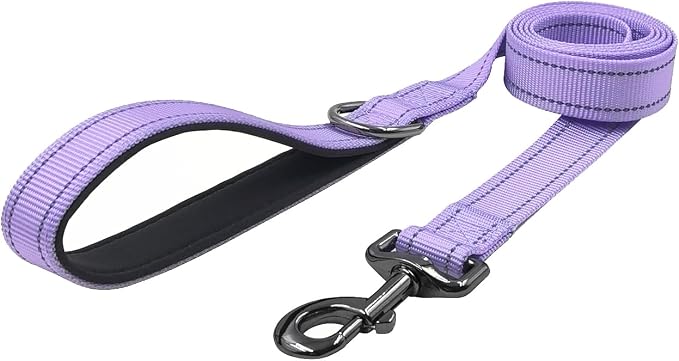 Dog Collar Leash Set, with Relfective Strips, Lilac Purple, Medium. | Adjustable Collar,5 ft Matching Leash,Neoprene Padded Handle.
