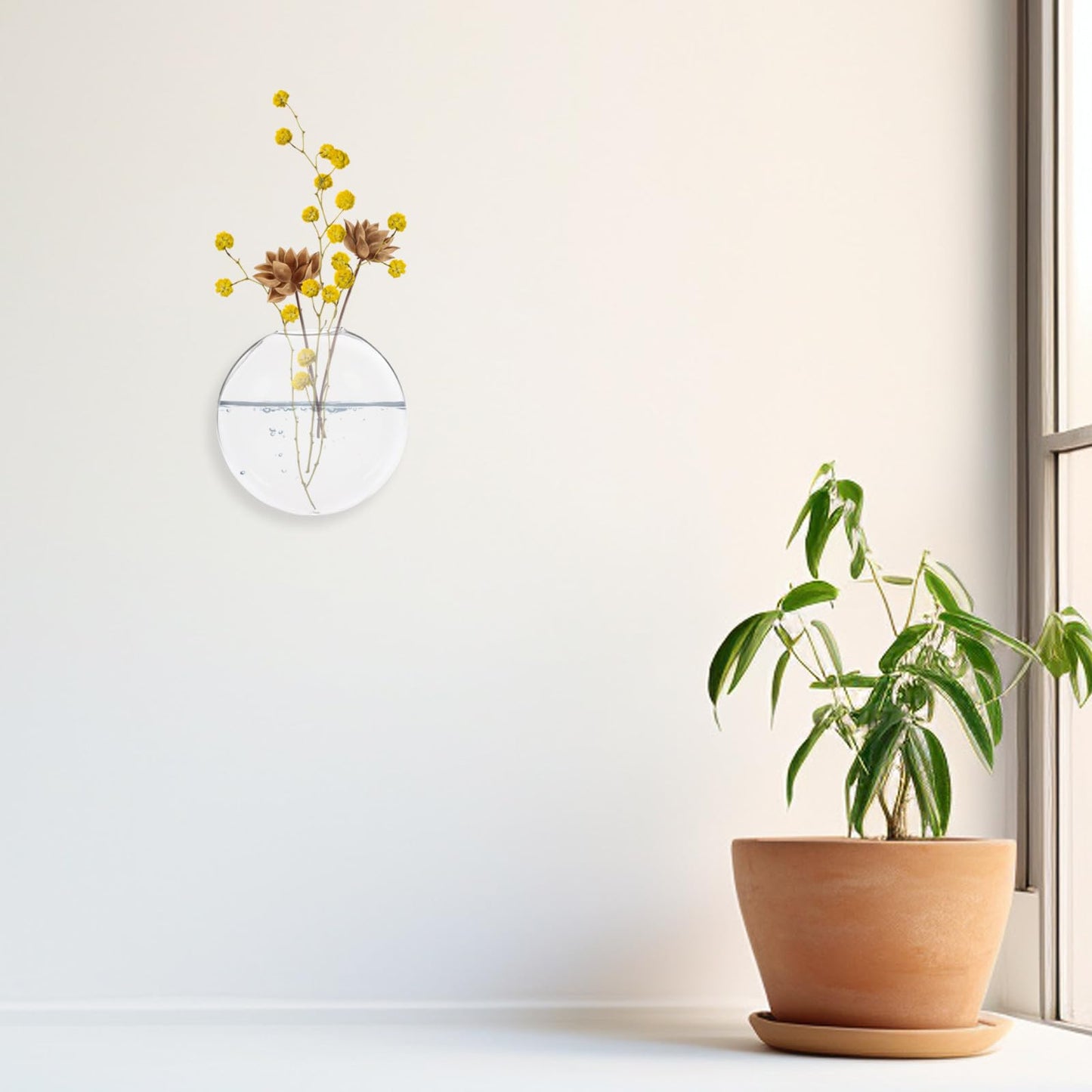 Toyvian Wall Mounted Glass Plant Pot and Hanging Glass Terrarium, Hydroponic Flower Vase for Indoor Plants, Balcony Decor, 2pcs Set