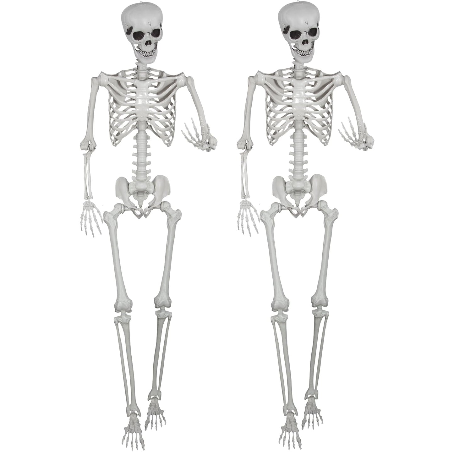 5.9ft Halloween Life Size Skeleton Realistic Full Body Skeletons Plastic Human Bones with Movable Joints for Halloween Props Spooky Party Decoration (2, 5.9ft)