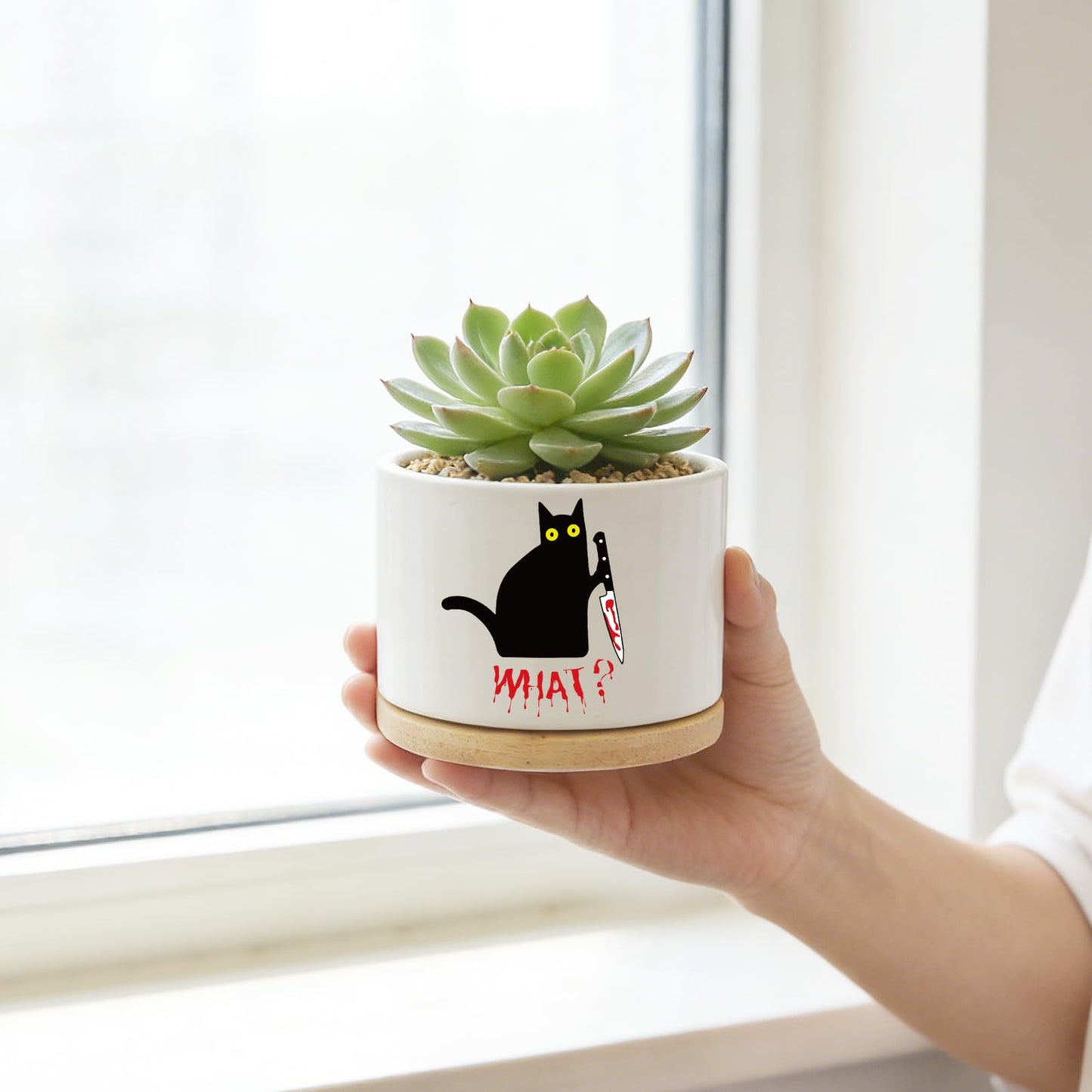 Funny Hello Black Cat Ceramic Plant Pot for Succulent, Cute Cat Cactus Flower Planter for Windowsill Indoor Decor, Home Office Decoration for Plant Lovers Friends Owner Lover (No Plants) (What)