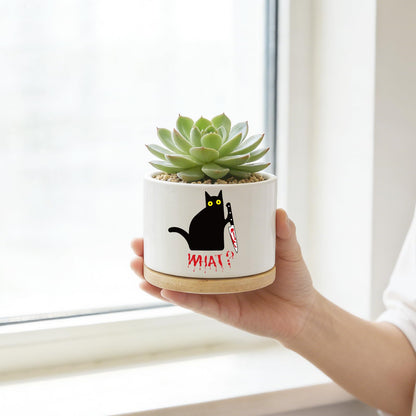 Funny Hello Black Cat Ceramic Plant Pot for Succulent, Cute Cat Cactus Flower Planter for Windowsill Indoor Decor, Home Office Decoration for Plant Lovers Friends Owner Lover (No Plants) (What)