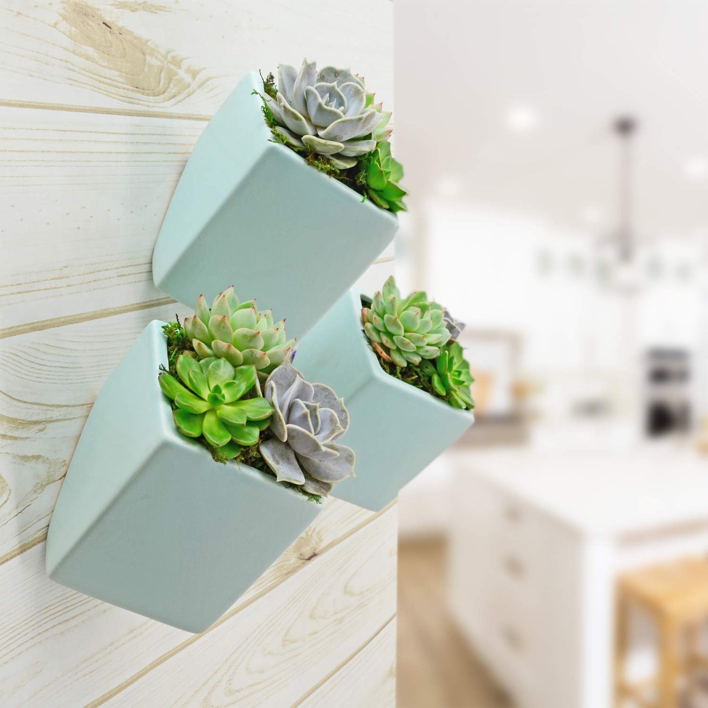 Arcadia Garden Products WP11MT Small Wall Planter Cube, Mint