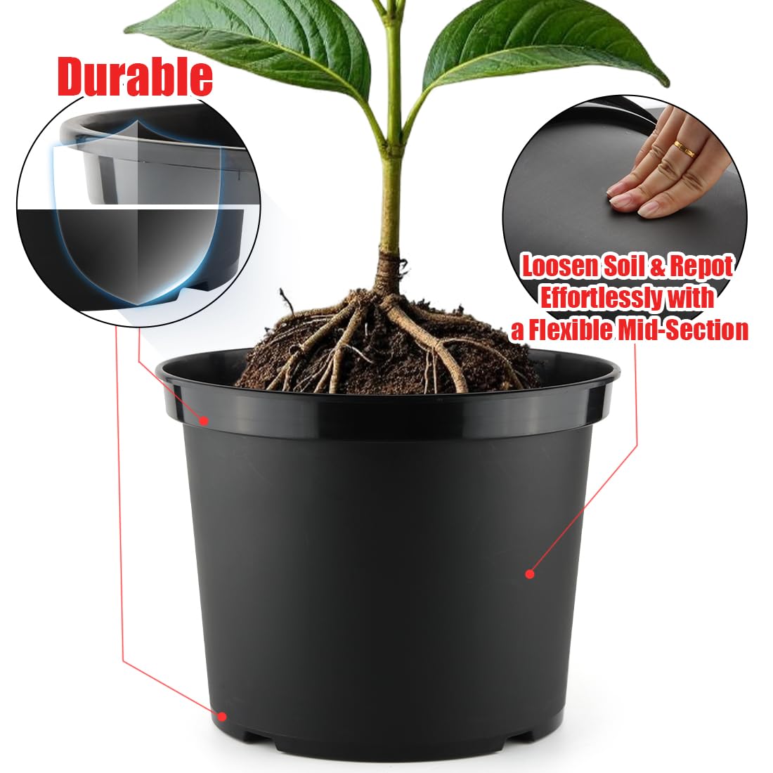 RooTrimmer 3 Gallon Plastic Nursery Pots, 10 Inch Round Plant Pots with Drainage Holes, 10 Pack Planting Pot for Outdoor Indoor Plants, Gardening Gifts for Women, Black
