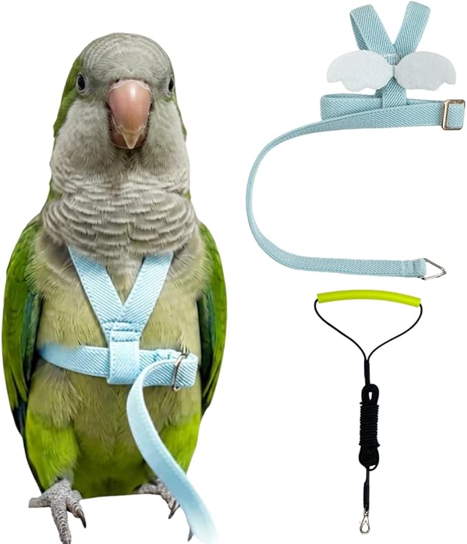 Adjustable Bird Harness with Elastic Leash, Pet Parrot Harness and Leash, Adjustable Training Design Anti-Bite, Bird Nylon Rope with Cute Wing for Conure (Light Blue,L)