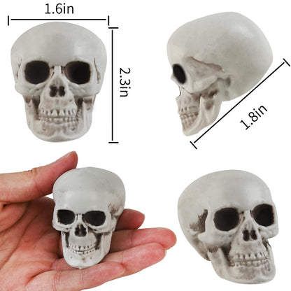 Junware 20 Pcs Halloween Skulls Realistic Looking Skulls Skeleton Head for Halloween Bar Home Table Decoration Model Human Skeleton Statue (1.6 x 1.8 x 2.3 Inches)