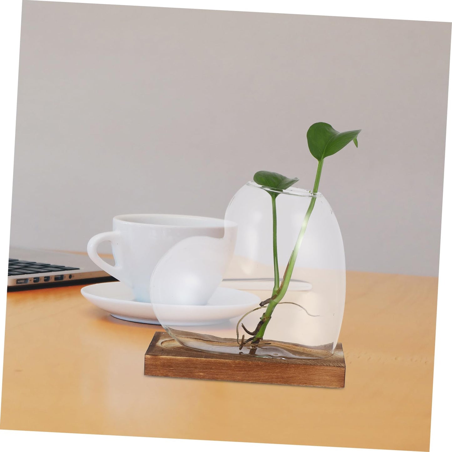 SUPVOX Heart Shaped Glass Vase: Hydroponic Plants Station with Wooden Base Propagation Terrarium Container for Home Offices Windowsill Decors