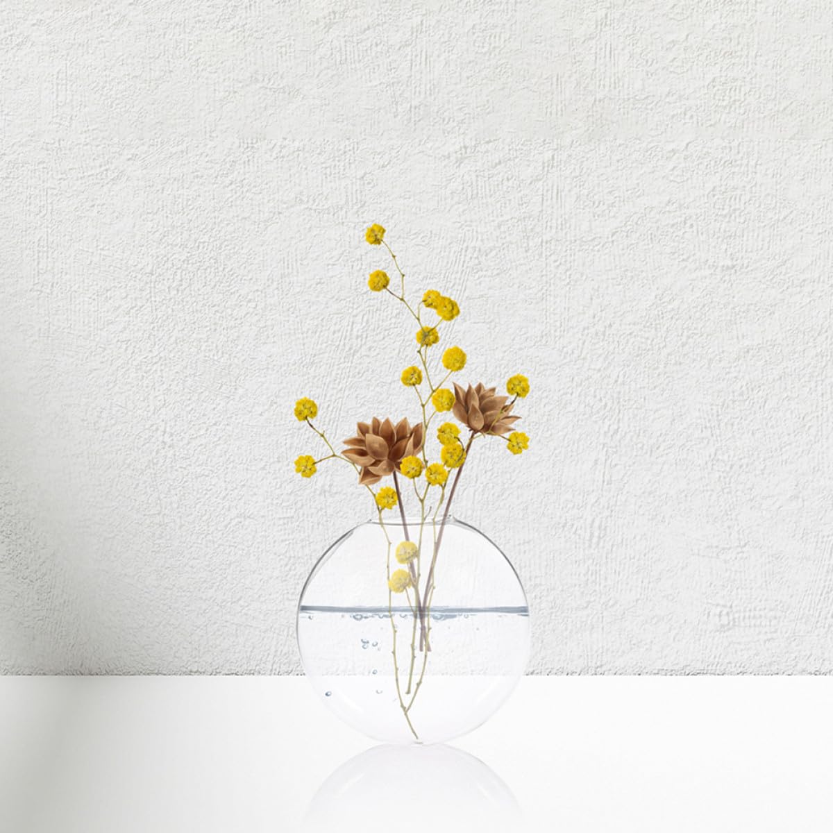 CATIEBYE 2pcs Wall Hanging Hydroponic Vase Set, Glass Terrarium Planter for Indoor Plants, Decorative Glass Wall Flower Vases for Home and Office