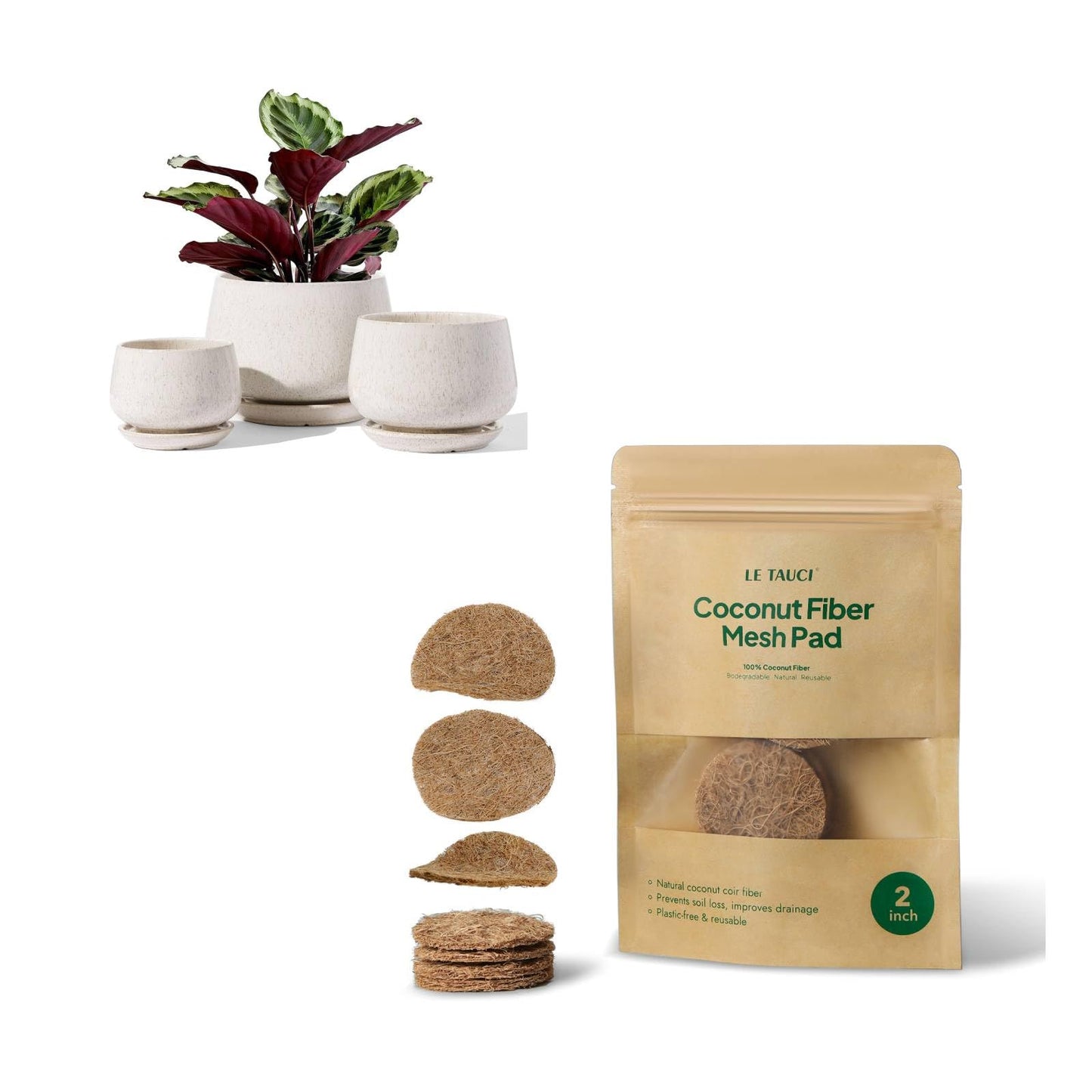 LE TAUCI Ceramic Planter with Coconut Fiber Drainage Mesh Pad, Keeps Soil in Place and Improves Drainage for Indoor Plants