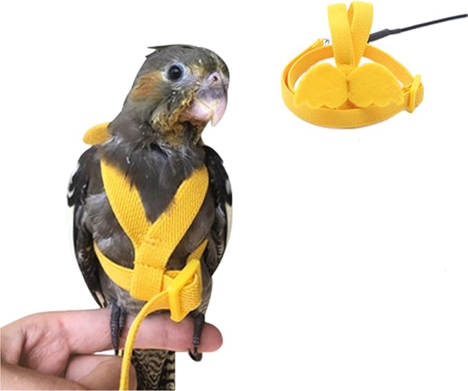 Bird Harness Parrot Leash -Adjustable Outdoor Flying Kit for Parrot Budgie Lovebird Cockatiel Macaw Parakeet (Yellow,M)